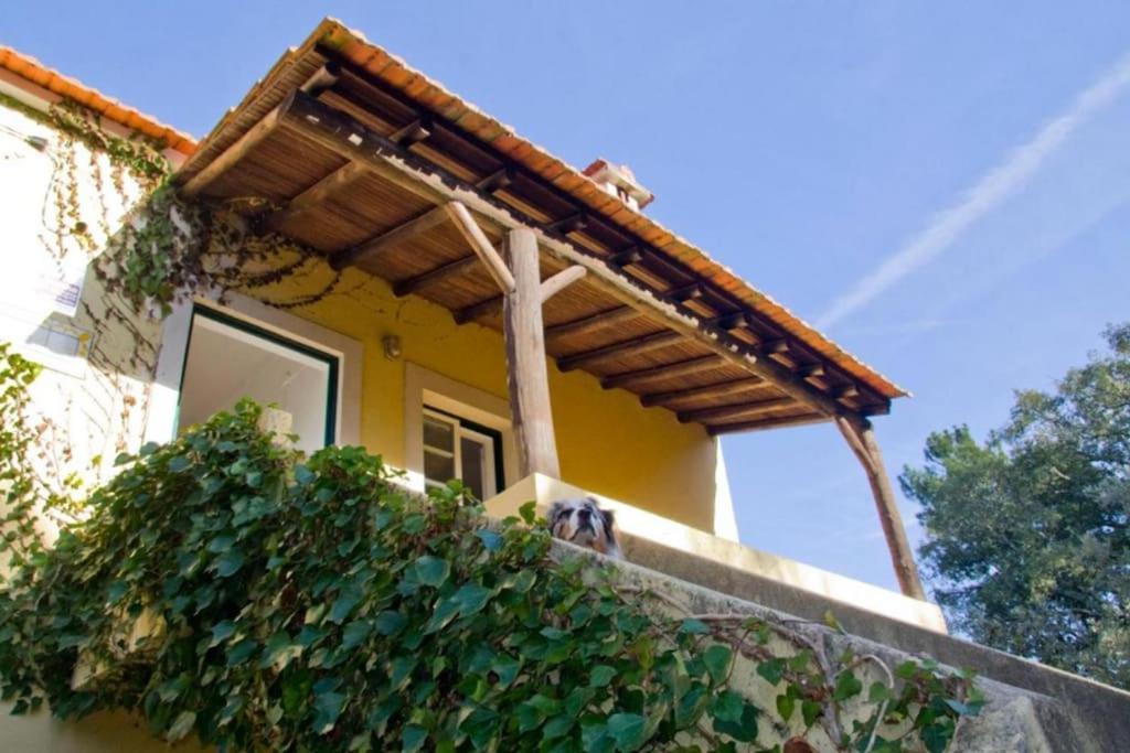 Casa Da Ruiva Villa Serra Luaran gambar